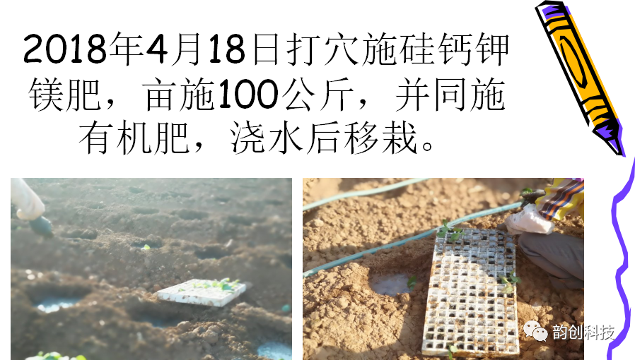 有机质|如何种植烤烟，提高烤烟的质量！