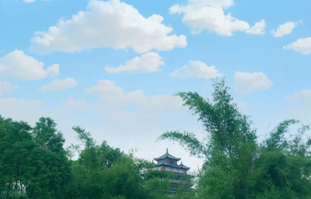 十二生肖今日运势查询解读11月16日 腾讯网