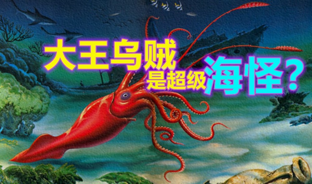 大王乌贼真的是体长30米的超级海怪?_腾讯新闻