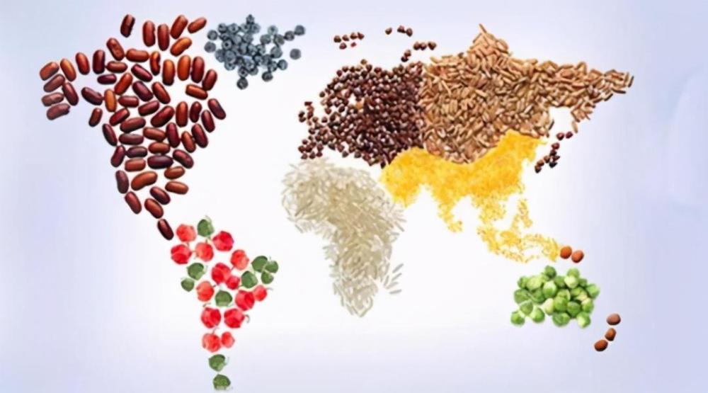 吃宵夜|吃宵夜真的会有害健康吗？