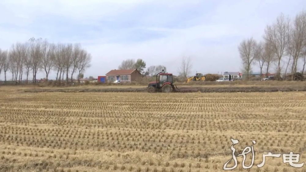 东北林业大学|从焚烧到变现，黑龙江小秸秆有了大用途