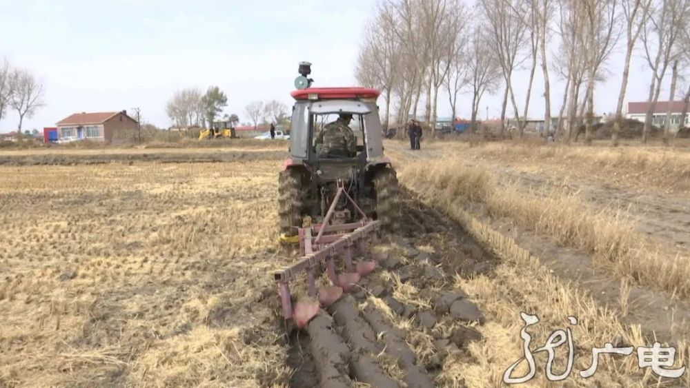 东北林业大学|从焚烧到变现，黑龙江小秸秆有了大用途