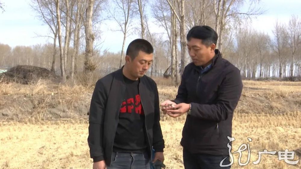 东北林业大学|从焚烧到变现，黑龙江小秸秆有了大用途