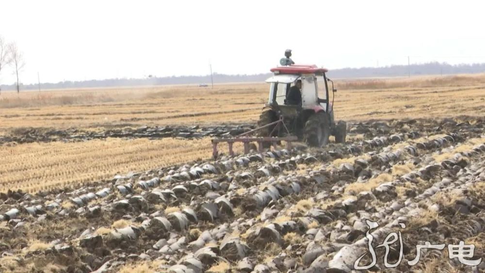 东北林业大学|从焚烧到变现，黑龙江小秸秆有了大用途