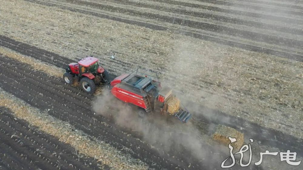 东北林业大学|从焚烧到变现，黑龙江小秸秆有了大用途