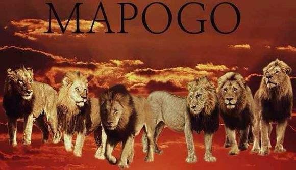 狮子|不朽的荣耀——雄狮坏男孩联盟