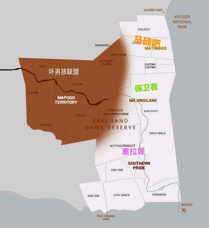 狮子|不朽的荣耀——雄狮坏男孩联盟