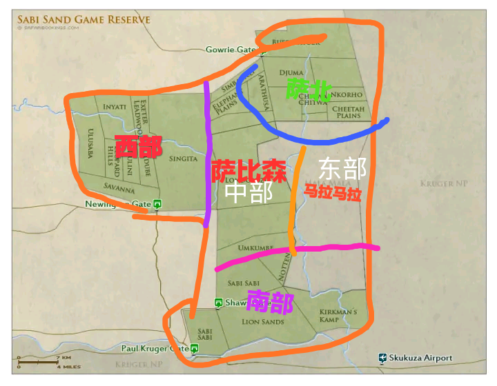 狮子|不朽的荣耀——雄狮坏男孩联盟