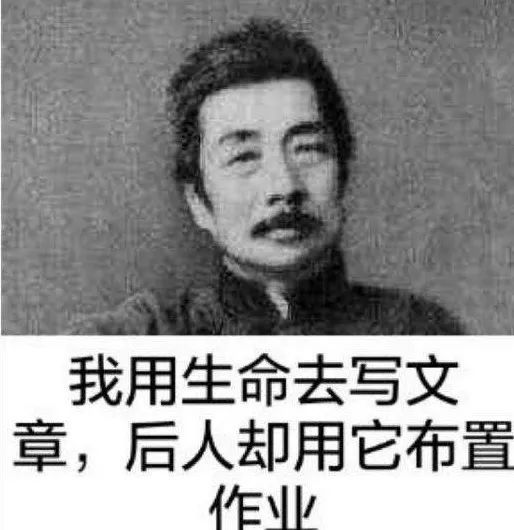 我用生命去写文章 后人却用它布置作业 鲁迅