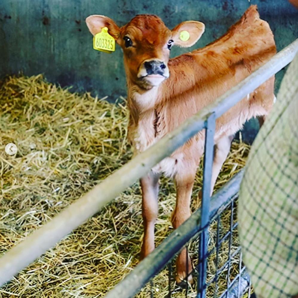 mandy|Mandy洗尽铅华重出发，短片释出35岁老态尽显，已无挥霍青春本钱