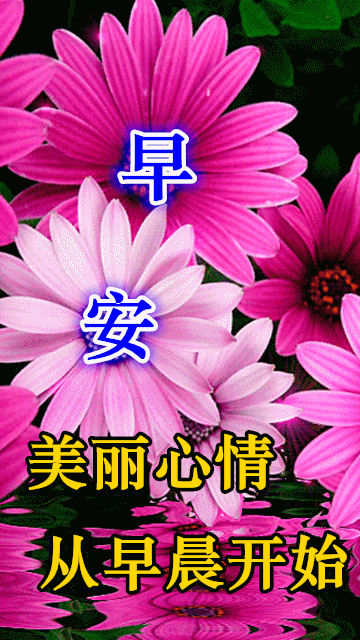 早上好道一声问候才知道这就是幸福早安我的朋友