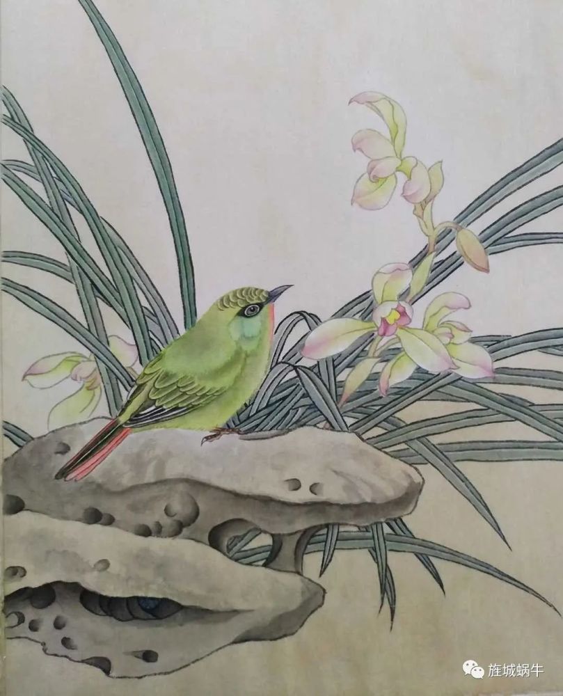 步骤十八,蘸淡胭脂勾勒兰花筋脉,淡墨勾兰叶筋脉.整理画面,题