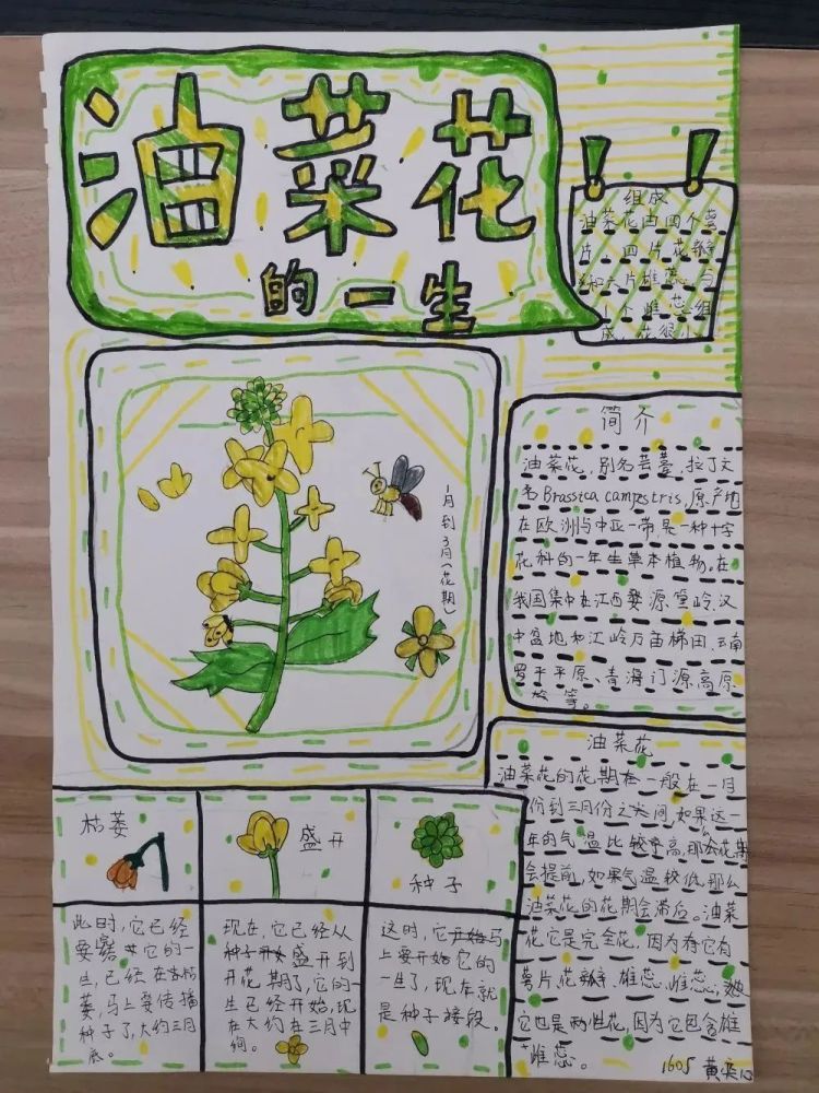 翻土 除草 浇水 采摘 屋顶农场 欢乐多 腾讯新闻