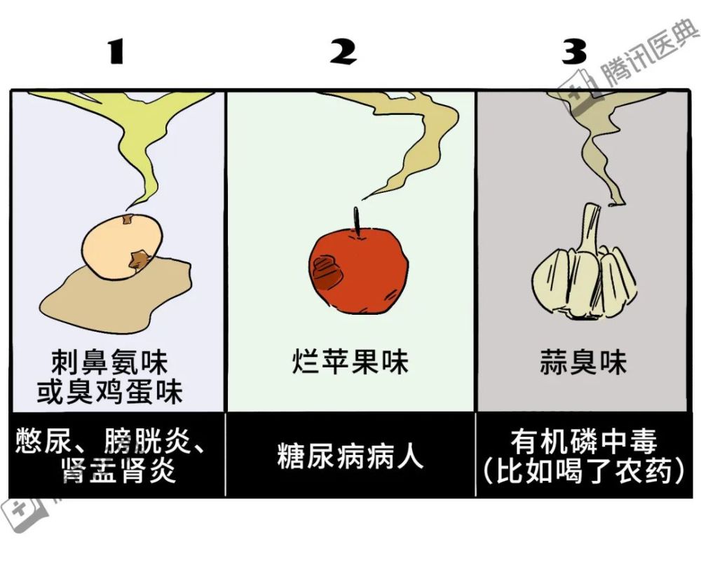 蔥頭或特殊氣味的藥物也會對尿液的味道造成一定影響依舊是看尿液氣味