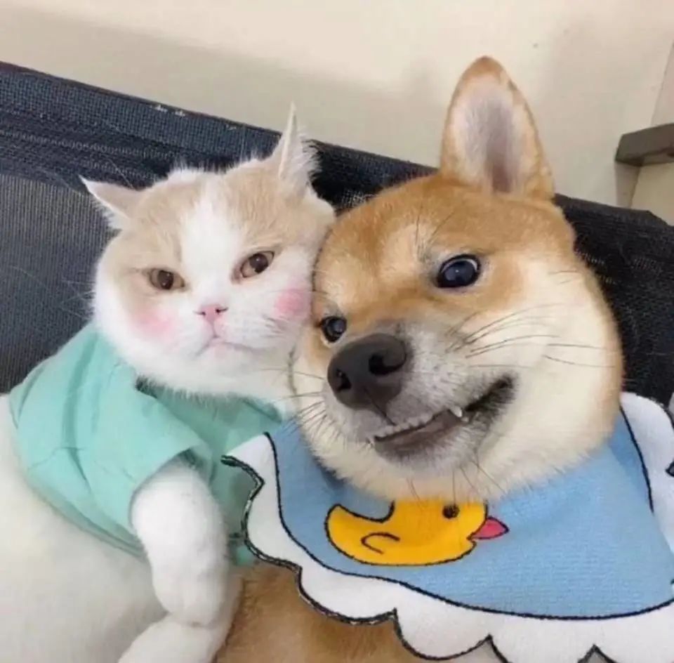 情头余生请多指教