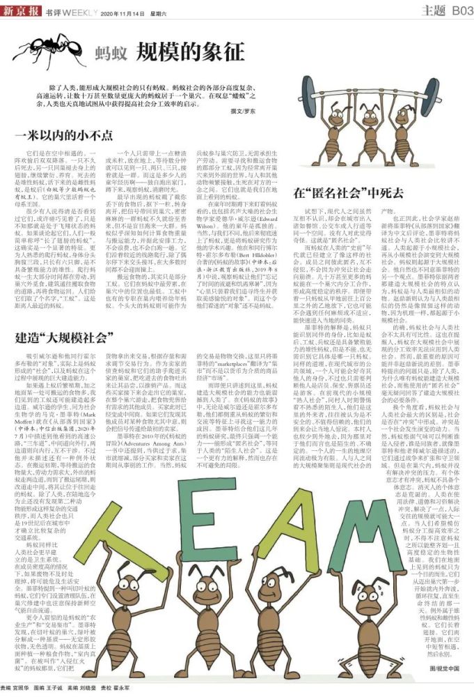 爱德华·威尔逊|“你个屎壳郎”“你个禽兽”：同样是带动物的脏话，有什么不同？