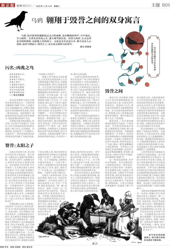 爱德华·威尔逊|“你个屎壳郎”“你个禽兽”：同样是带动物的脏话，有什么不同？