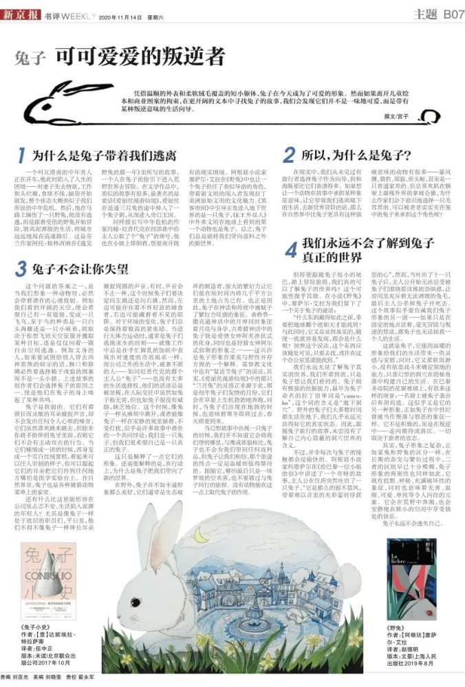 爱德华·威尔逊|“你个屎壳郎”“你个禽兽”：同样是带动物的脏话，有什么不同？