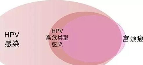 另外一個原因是:感染的是低危型hpv