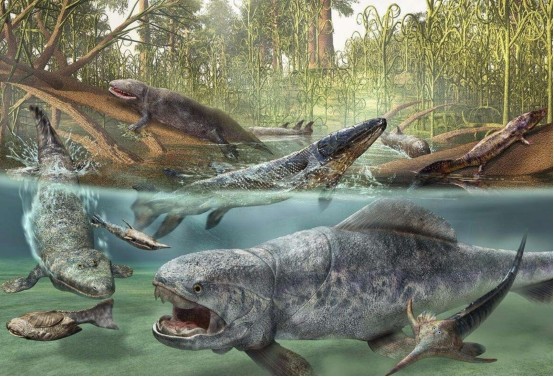 4亿多年前 文昌鱼进化成原始鱼类 人类的祖先也有机会诞生 鱼类 地球 两栖动物 文昌鱼