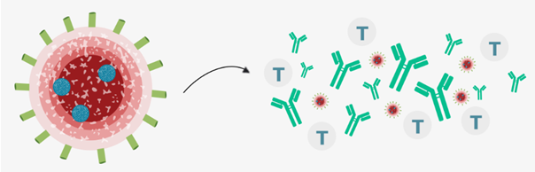 辉瑞|辉瑞新冠疫苗开发者：明年冬天有望恢复正常生活