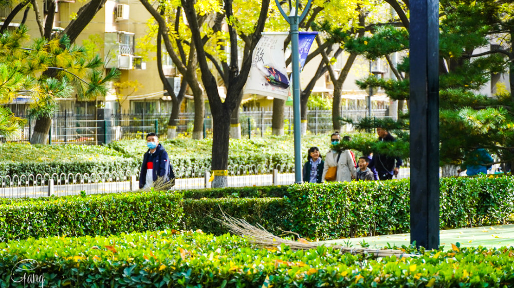 北京|街拍秋天的北京街头，秋意来临时的生活