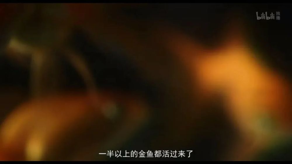 杜虹|要了命了，纪录片哪能这么拍？！