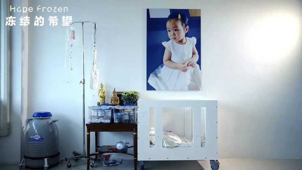 杜虹|要了命了，纪录片哪能这么拍？！