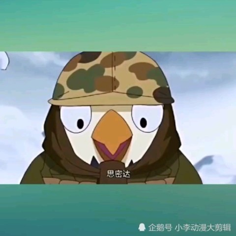 那年那兔那些事儿鹰酱是不是傻一句思密达就认为是队友