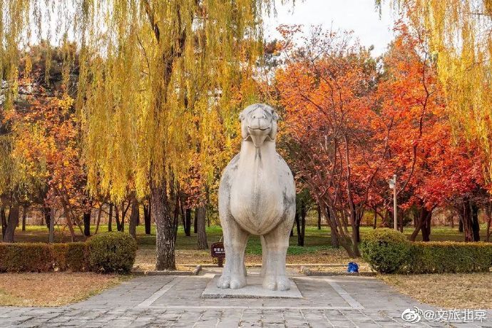 明十三陵|昌平最后一波高颜值秋色还不抓紧收割？现在去还不晚！