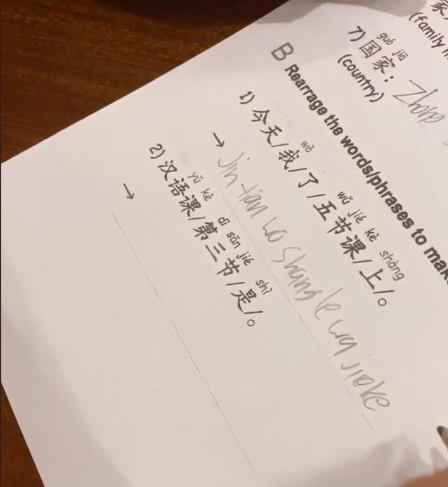 张柏芝|张柏芝二儿子罕曝光，侧脸不输谢霆锋，学简体字欲和爸妈来内地？