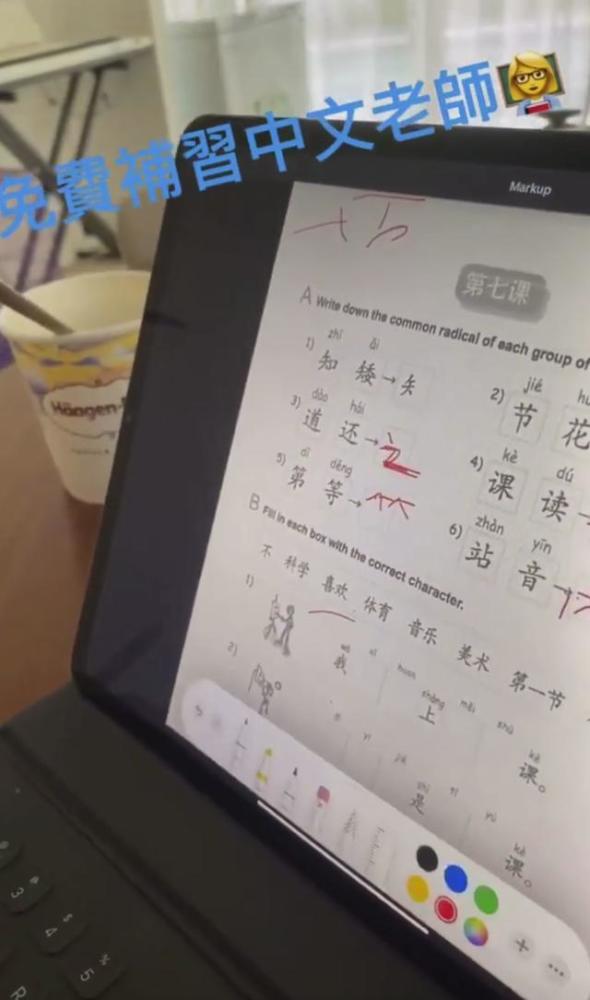 张柏芝|张柏芝二儿子罕曝光，侧脸不输谢霆锋，学简体字欲和爸妈来内地？