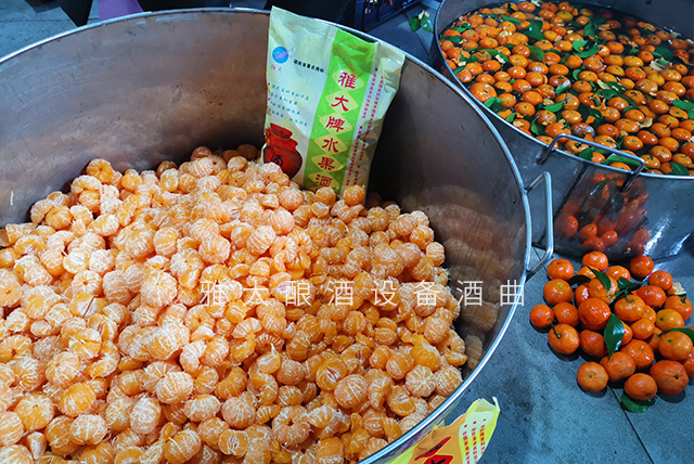 桔子酿酒借助白酒生产设备将果香留在酒里想学吗