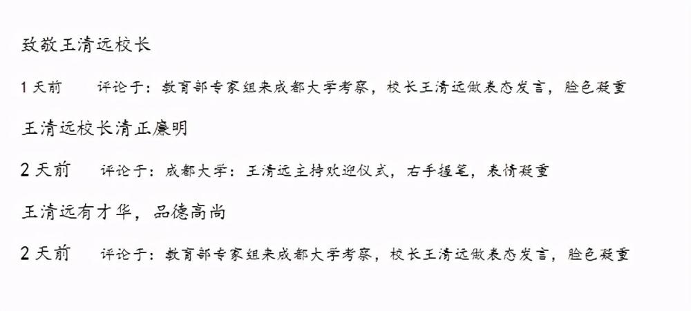 成都大学官网最新消息,王清远在教育部专家组会上发言,神色庄重