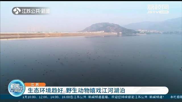 江苏 生态环境趋好野生动物嬉戏江河湖泊 长江航运公安局 江苏 海门派出所 长江