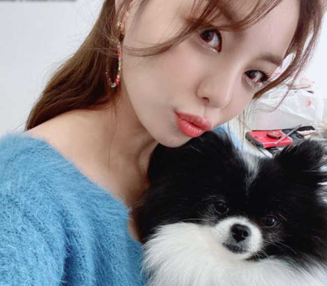 连clc的睿恩,rapper queen wa$abii,李英智等都留言表示自己吓了一跳