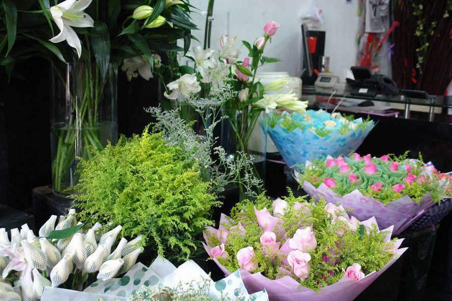 花卉|曾卖5元一捆，如今已导致30多种本土植物消亡，还在不断泛滥中