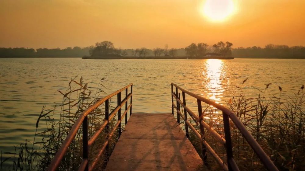 圆明园遗址公园|因天气原因，圆明园遗址公园、北海公园16日全面停航