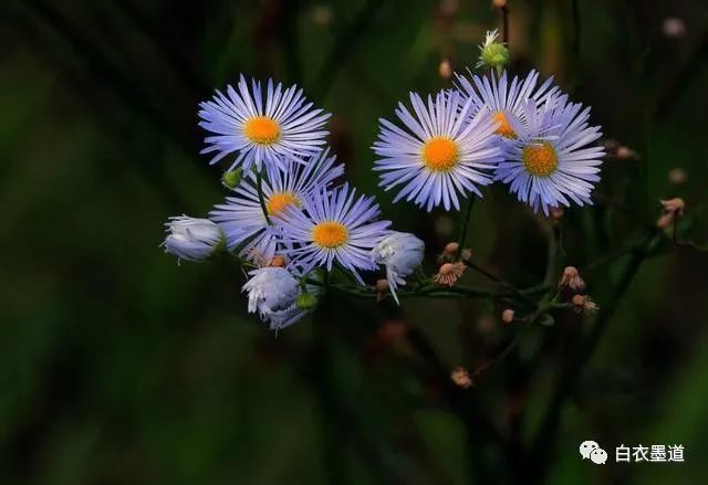 长期省钱的人，能做到以下四个节俭-第2张图片-农百科