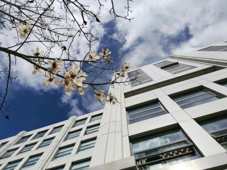 北京印刷学院|北京印刷学院怎么样，好不好，值得报考吗