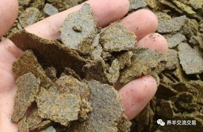 豆粕|8个最新肉羊育肥催肥饲料配方，推荐收藏！