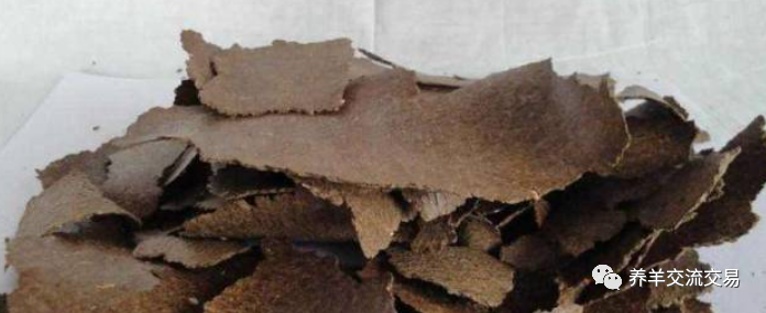 豆粕|8个最新肉羊育肥催肥饲料配方，推荐收藏！