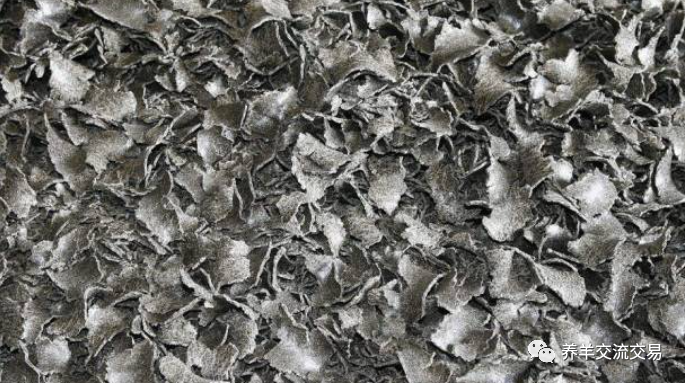 豆粕|8个最新肉羊育肥催肥饲料配方，推荐收藏！