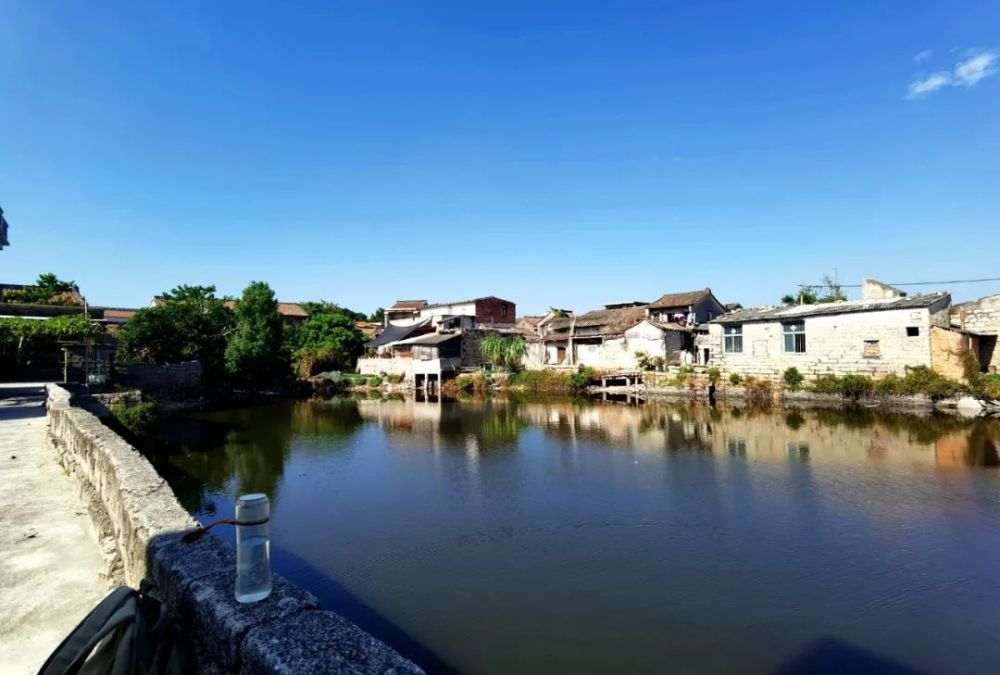 沈逸舟仙塘清韵