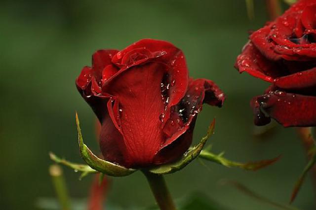 适合半夜思考人生的句子感悟深刻早读早受益