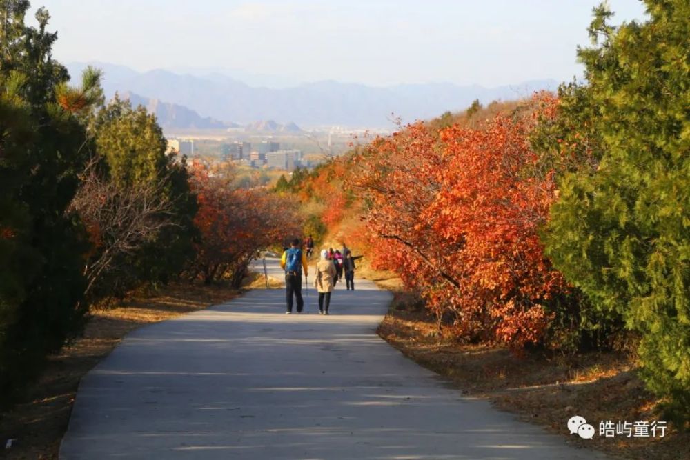 北京地区|从初秋到初冬，亲子徒步“穿越”京郊最美的金秋