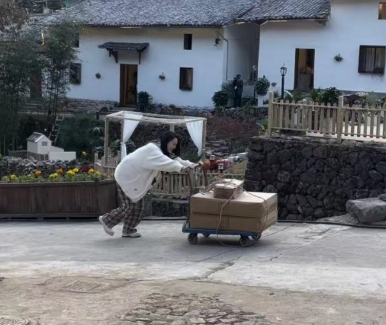 伊能静|伊能静购买的900件商品到货了？看她录制节目时，快递多得要用推车