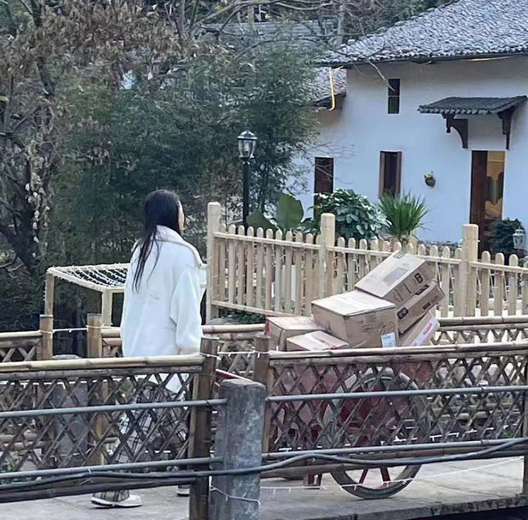 伊能静|伊能静购买的900件商品到货了？看她录制节目时，快递多得要用推车