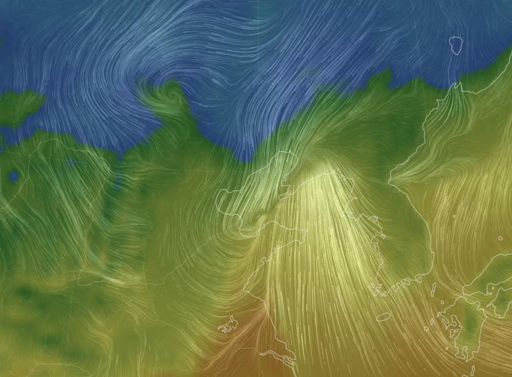 台风|“冰台风”要袭击东北？权威预报：不是但有大风雪，天气极其复杂