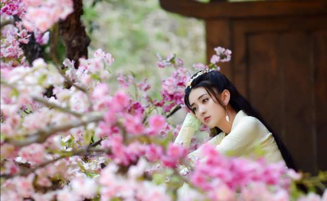 樊素|黄四娘家花满蹊，杜甫笔下黄四娘是何人，是歌姬还是寡妇？